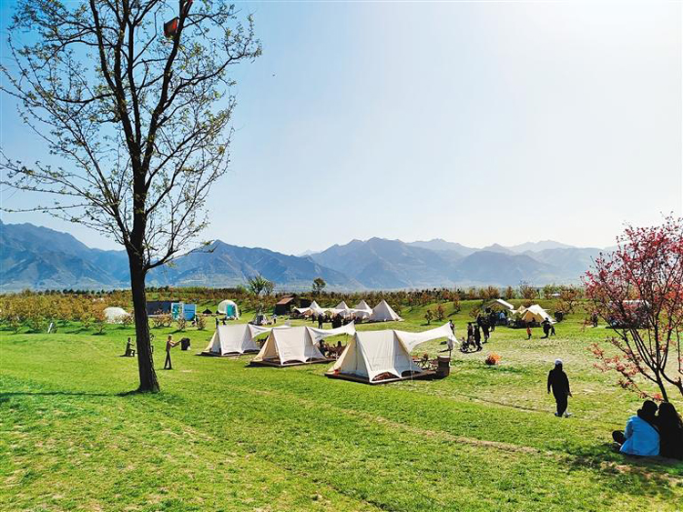 露营经济:被绿地和帐篷占据的朋友圈