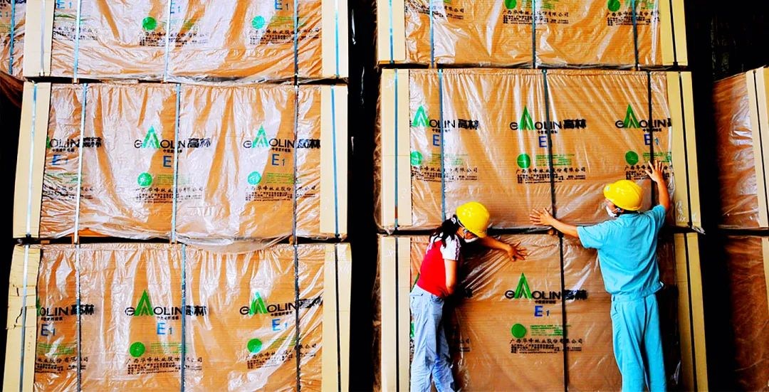 N个“全国第 一”的尴尬，广西林业为何大而不强