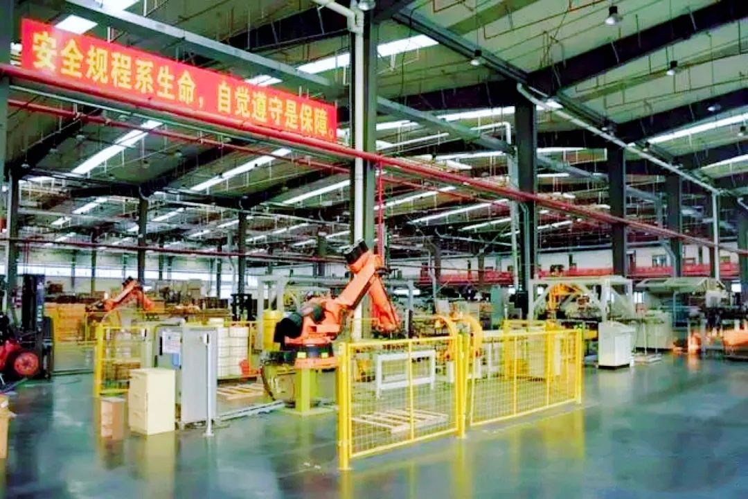 N个“全国第 一”的尴尬，广西林业为何大而不强