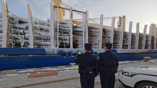 山东蓬莱口岸2023年首艘木材船舶顺利通关