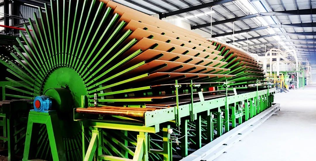 N个“全国第 一”的尴尬，广西林业为何大而不强