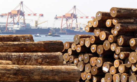 普京：有必要放弃原木出口