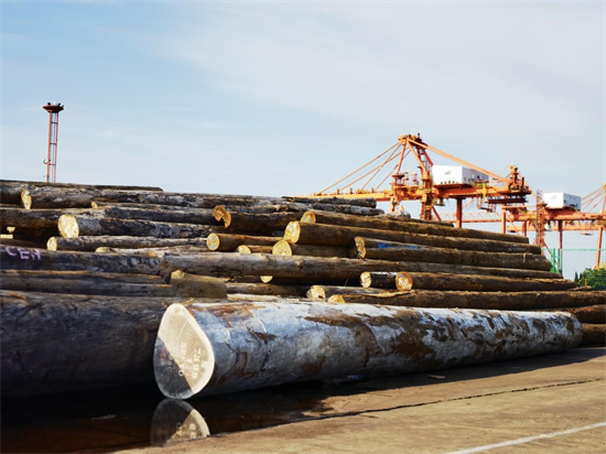 2023年后,没有“非洲原木”,只有“非洲锯材” 2023年后,没有“非洲原木”,只有“非洲锯材”