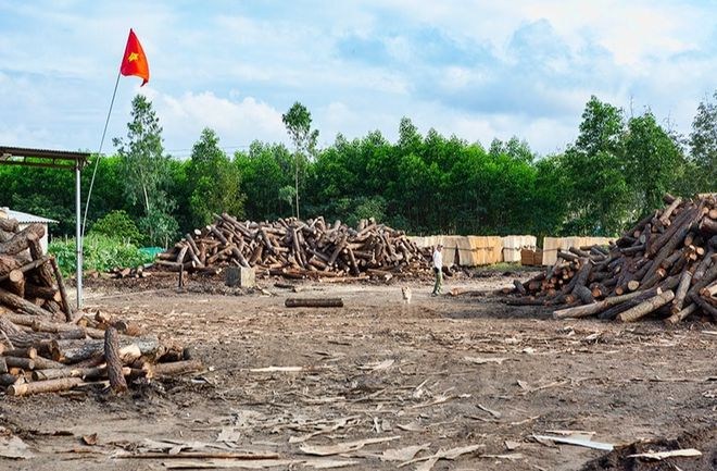 越南预计木制品出口将在第 一季度恢复