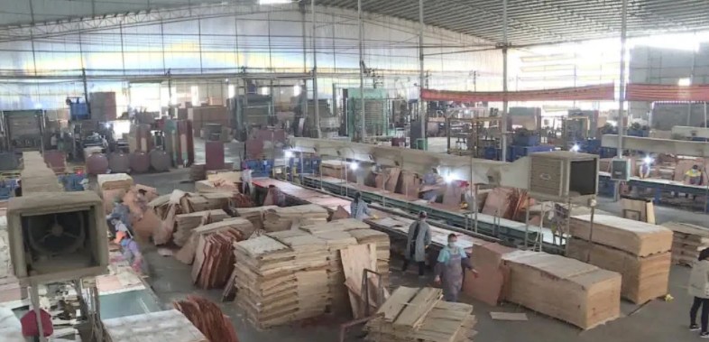 广西南宁武鸣区持续做大做强林木产业