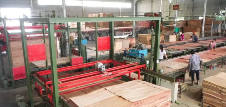 广西南宁武鸣区持续做大做强林木产业