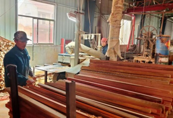 山东菏泽单县木材加工拓宽群众致富路