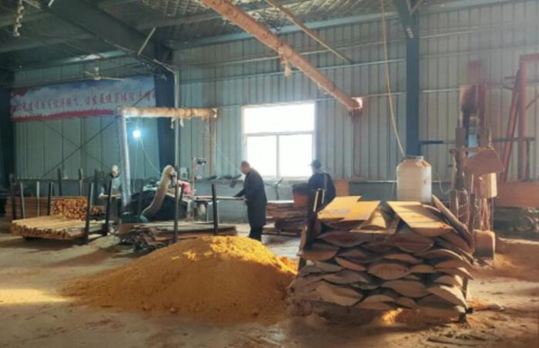 山东菏泽单县木材加工拓宽群众致富路