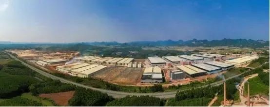 大抓木材产业，抓大木材产业--广西来宾大力推动木业园区建设