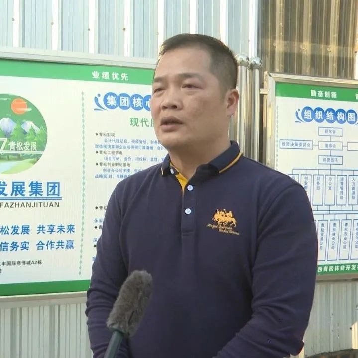 广西百色田东县拓宽林业投融资渠道推动林业等各行业高质量发展