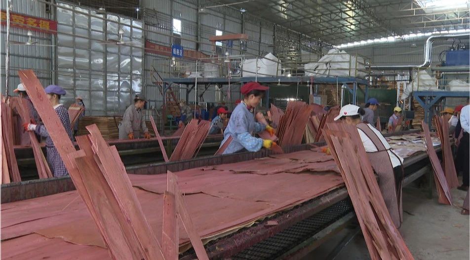 广西百色田东县拓宽林业投融资渠道推动林业等各行业高质量发展