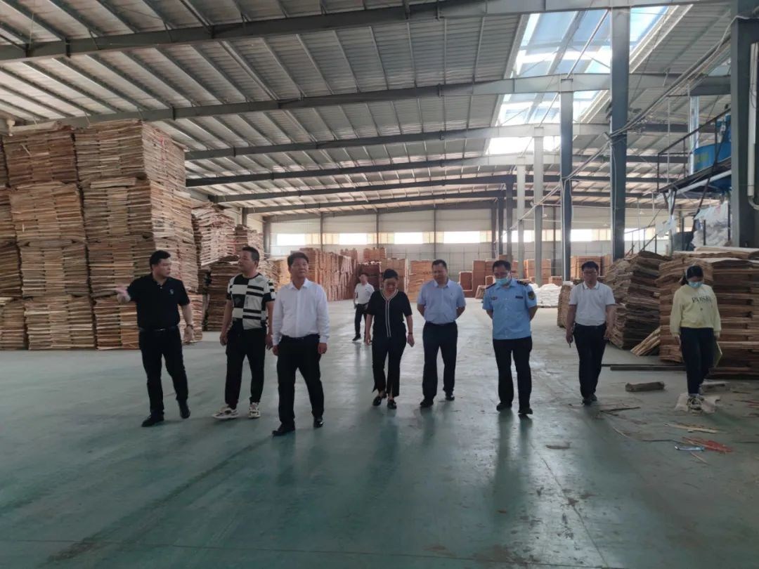 来宾市领导到石牙木材产业园开展安全生产检查工作