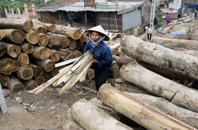 越南预计第三季度恢复出口势头