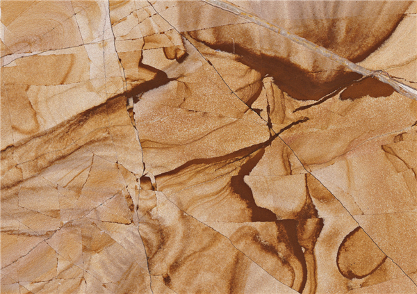 柚木原木纹理 柚木原木纹理