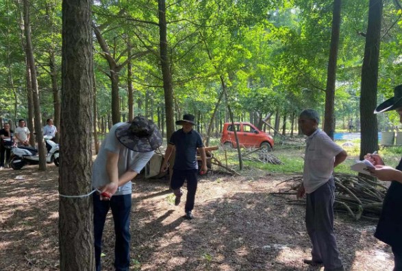 郯城县新村银杏产业开发区着手建立新村木业产业园