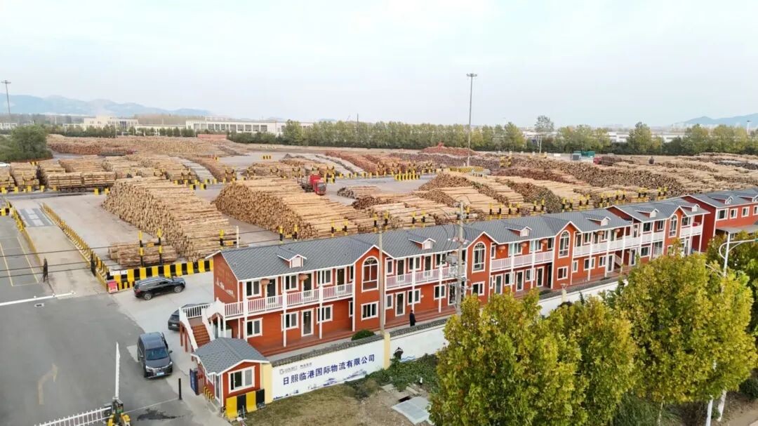 原木期货首批车板交割在山东港口成功落地