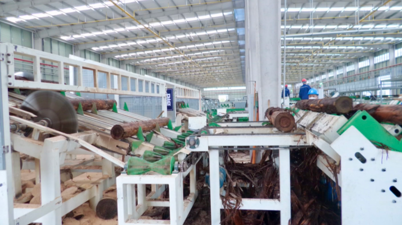 湖北咸丰:一根木头的“AI蜕变”之旅