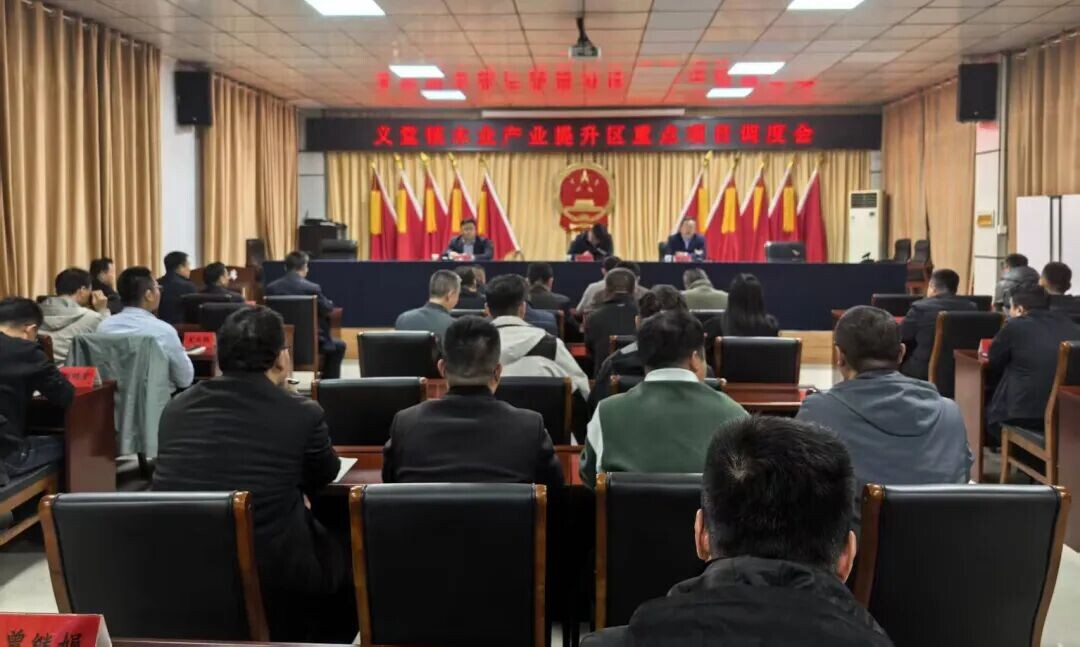 临沂义堂镇召开木业产业提升区项目进展调度会