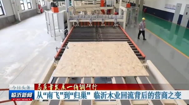 从南飞到归巢，临沂木业回流背后的营商之变