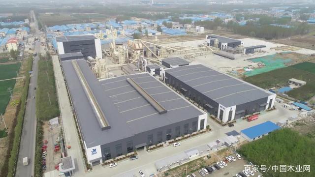 1642492280472363.jpeg 9a504fc2d56285357cffe906b566cdcea7ef630f.jpeg